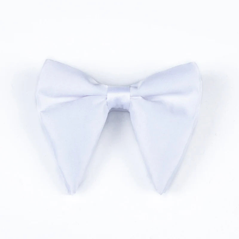 Men's Accessory — The Cedric Damien | Guest & Gown — view 5